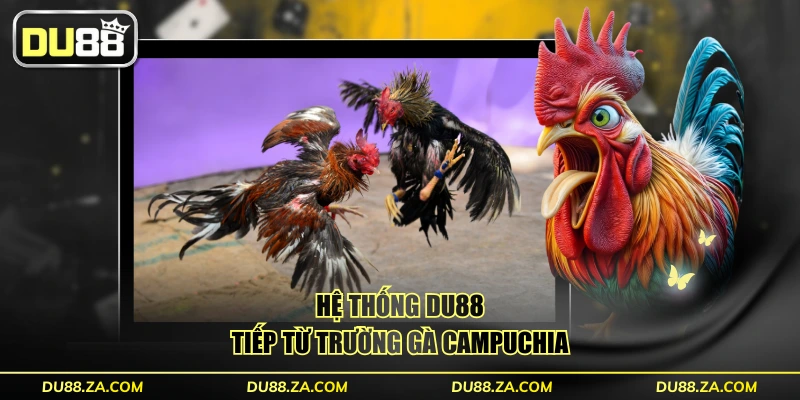DU88 | Link Vào DU88.COM Chính Thức🎖️Nhà Cái Cá Cược #1 15 Hệ thống DU88 tiếp từ trường gà Campuchia