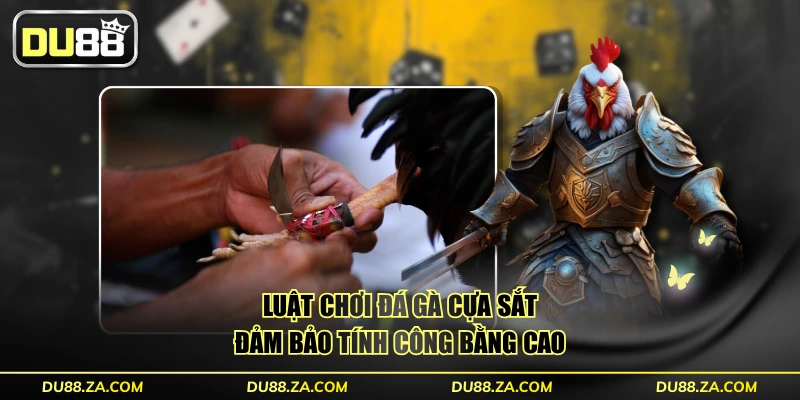 Đá Gà Cựa Sắt - Quy Định Chuẩn Và Mẹo Hay Thắng Lớn 2025 3 Luật chơi đá gà cựa sắt đảm bảo tính công bằng cao