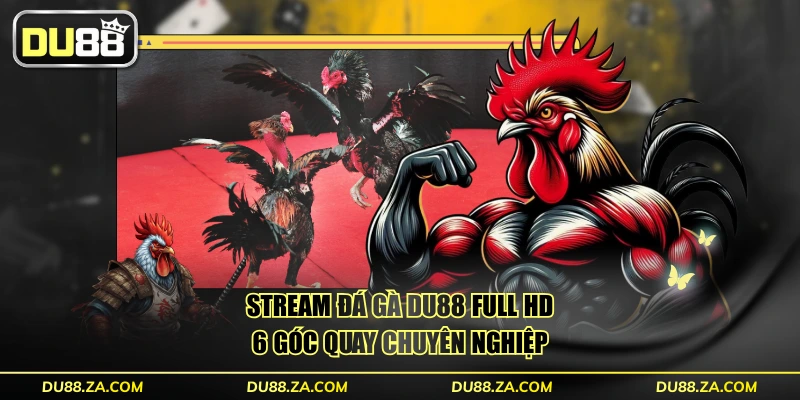 Stream đá gà DU88 Full HD 6 góc quay chuyên nghiệp