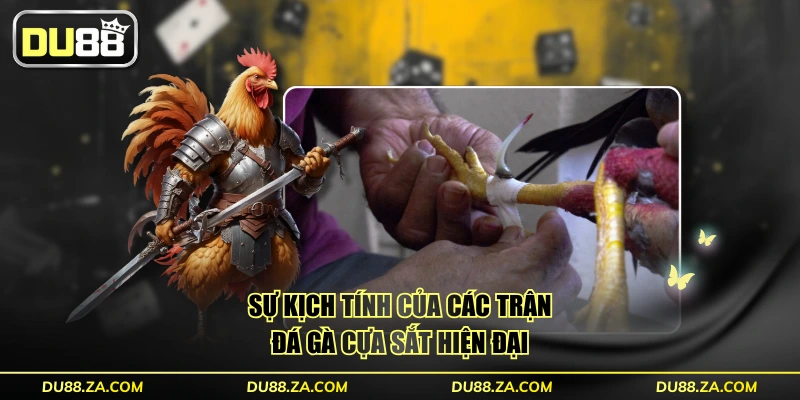 Đá Gà Cựa Sắt - Quy Định Chuẩn Và Mẹo Hay Thắng Lớn 2025 2 Sự kịch tính của các trận đá gà cựa sắt hiện đại