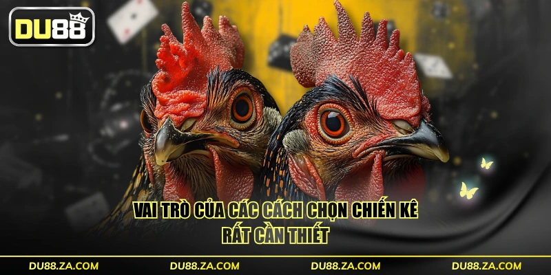 Cách Chọn Chiến Kê - 3 Tiêu Chí Bách Chiến Bách Thắng 2 Vai trò của các cách chọn chiến kê rất cần thiết